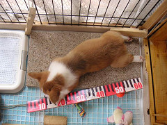 Resize of PICT0709_thumb.jpg